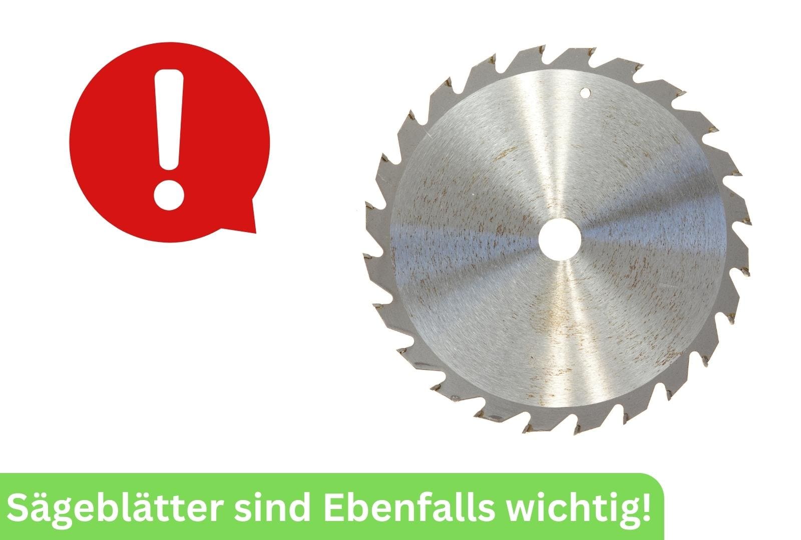 saegeblatter sind ebenfalls wichtig saegeblatter sind ebenfalls wichtig